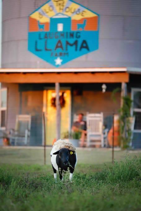 Silo House At Laughing Llama Farm Troy Exteriör bild